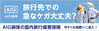 AIG損保 国内旅行傷害保険